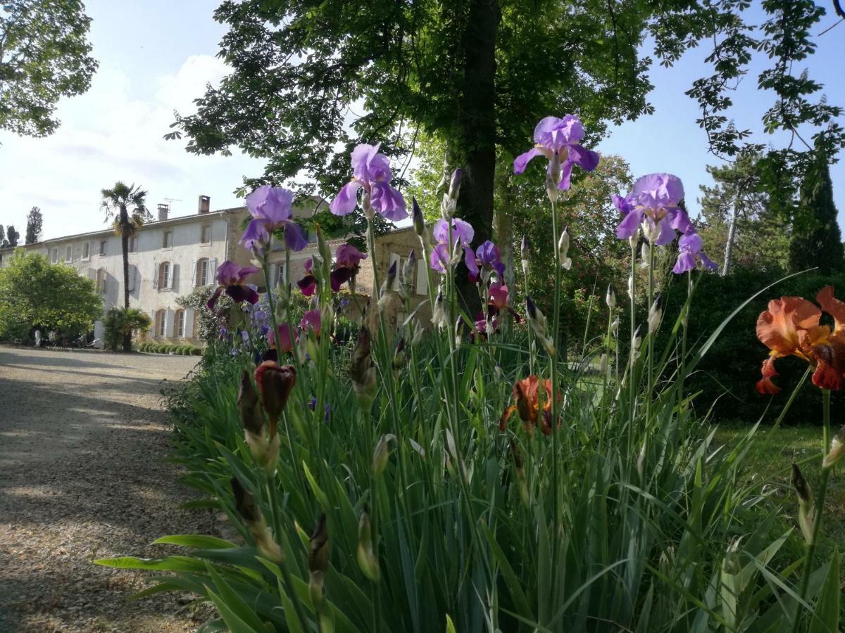 Mon Petit Soulie Bed & Breakfast Loupia Bagian luar foto